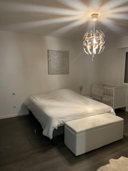 Appartement Cosy Strasbourg Schiltigheim Exterior foto
